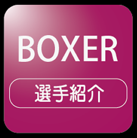 menu_boxer_icon